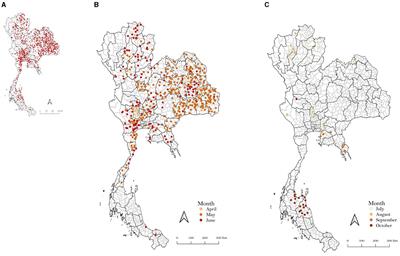 The impact of mass vaccination policy and control measures on lumpy skin disease cases in Thailand: insights from a Bayesian structural time series analysis